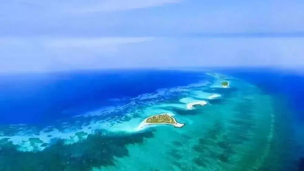 “海南自由港”震撼登場(chǎng)！40個(gè)亮點(diǎn)東方和利帶你一文看懂